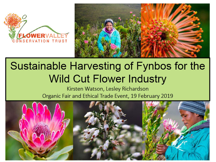 Sustainable Harvesting of Fynbos for the Wild Cut Flower Industry KWatson LRichardson